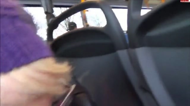Две немки отсасывают в автобусе 